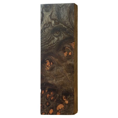 Black Stabilized Neem Burl Block