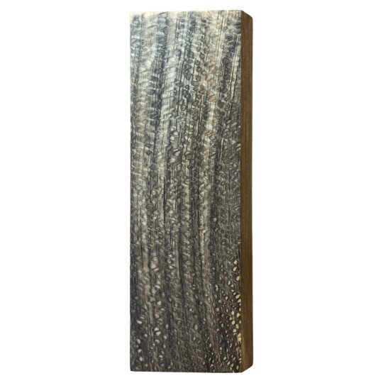 Clear Stabilized Sycamore Wood Block