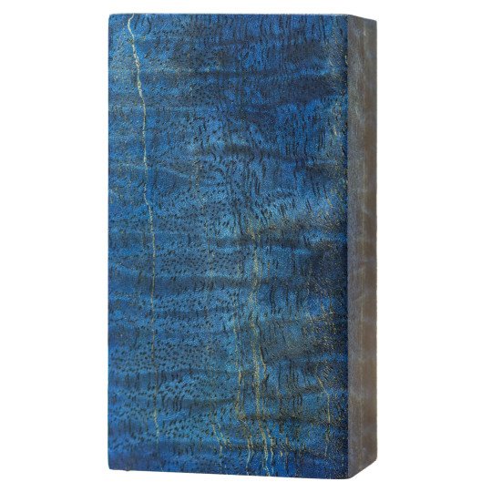 Blue Stabilized Curly Mango