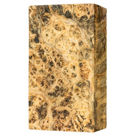 Stabilized Spalted Amboyna burl block