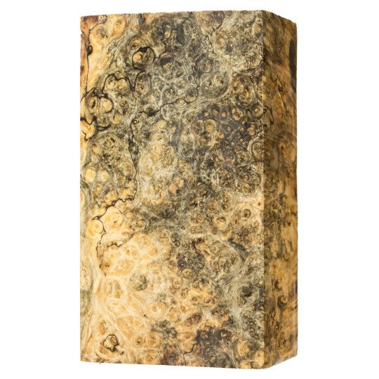 Stabilized Spalted Amboyna burl block