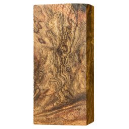 Stabilized Neem Burl Block