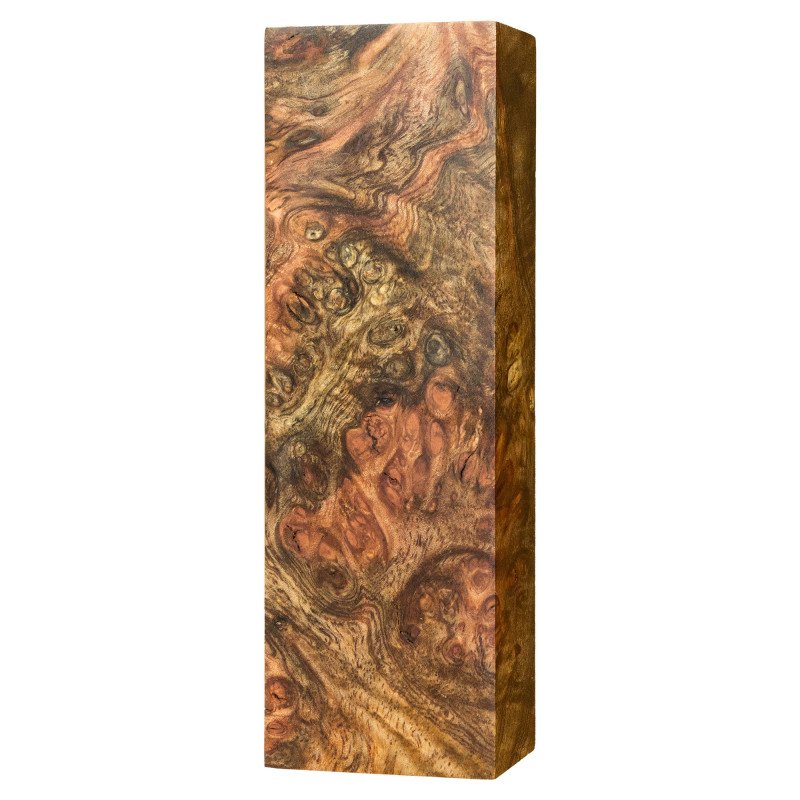 Stabilized Neem Burl Block