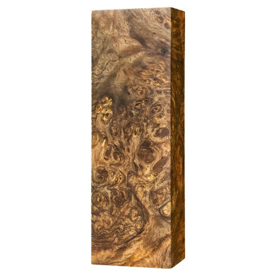Stabilized Neem Burl Block