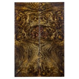 Stabilized Neem Burl Scales