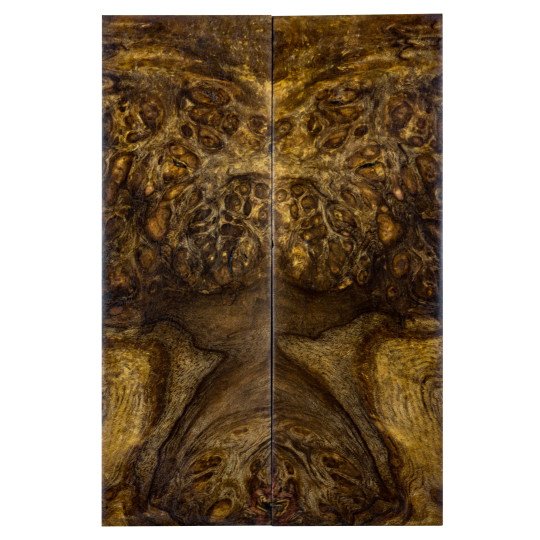 Stabilized Neem Burl Scales