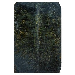 Black Stabilized Black Ash Burl Scales