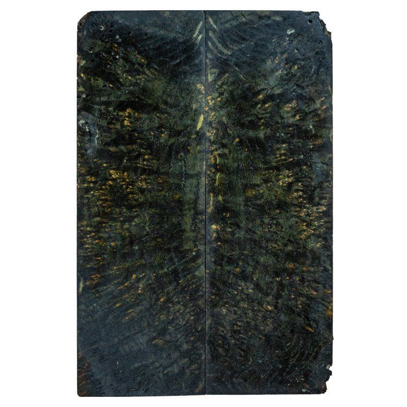 Black Stabilized Black Ash Burl Scales