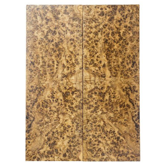 Stabilized Black Ash Burl Scales