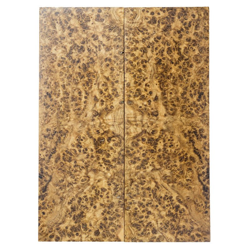 Stabilized Black Ash Burl Scales