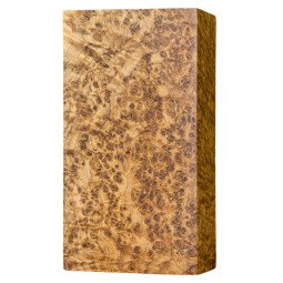 Stabilized Black Ash Burl