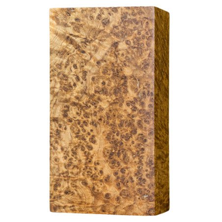 Stabilized Black Ash Burl