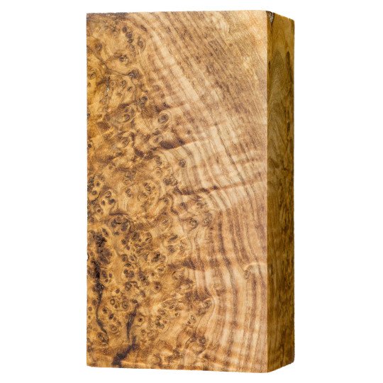 Stabilized Black Ash Burl