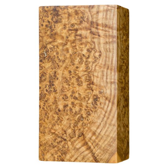 Stabilized Black Ash Burl