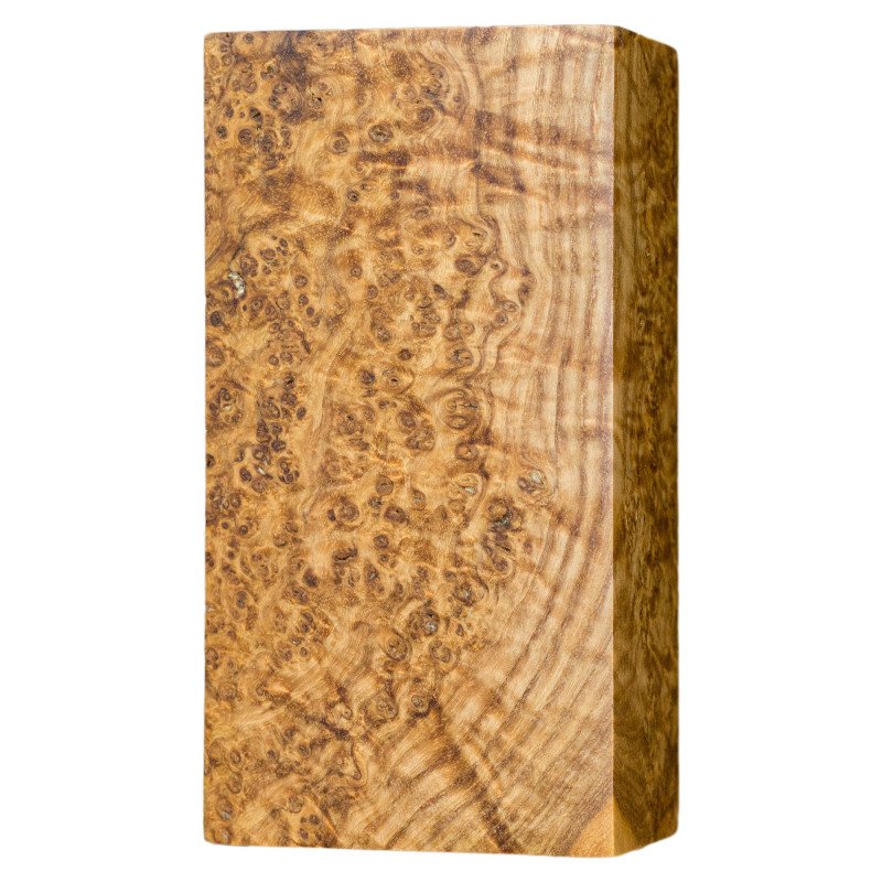 Stabilized Black Ash Burl