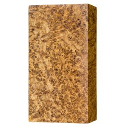 Stabilized Black Ash Burl