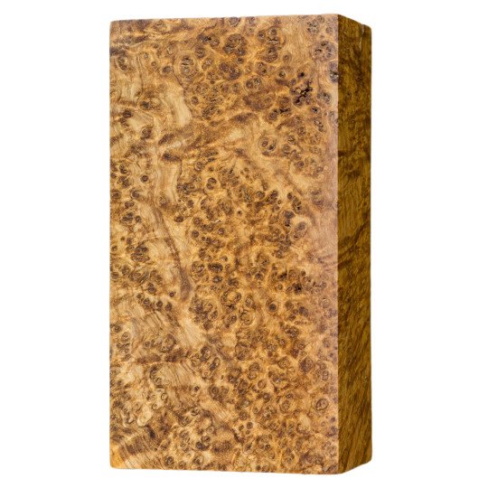 Stabilized Black Ash Burl