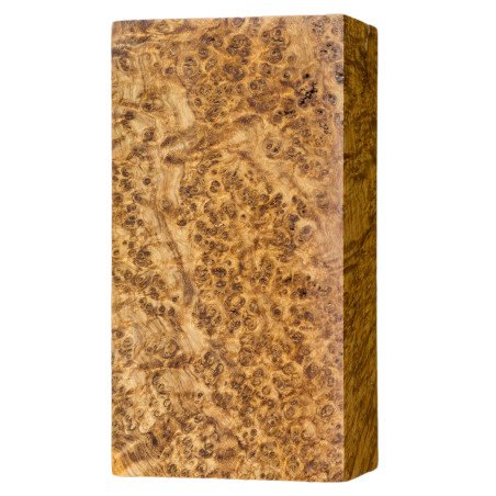 Stabilized Black Ash Burl