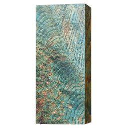 Stabilized Black Ash Burl