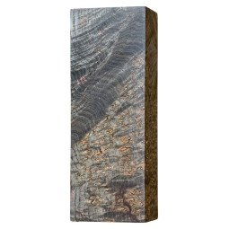 Stabilized Black Ash Burl