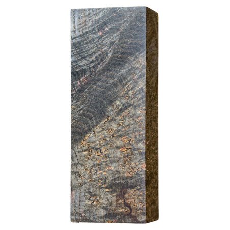 Stabilized Black Ash Burl