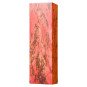 Magenta Stabilized Spalted Ambulu