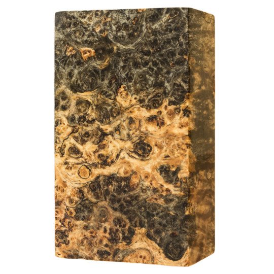 Stabilized Spalted Amboyna burl block