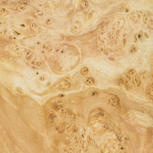 Box Elder Burl