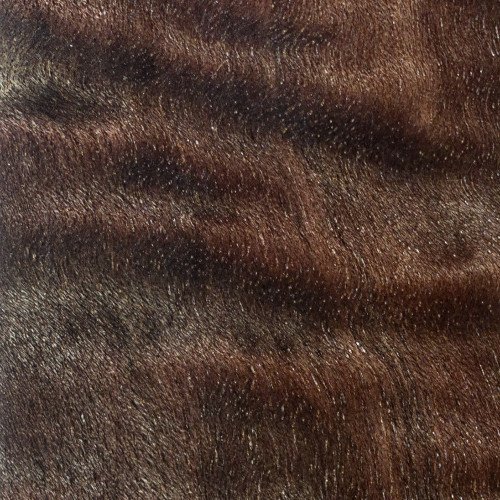Stabilized Curly Avocado Wood Blocks | Dark Avocado | Sturdy Woods